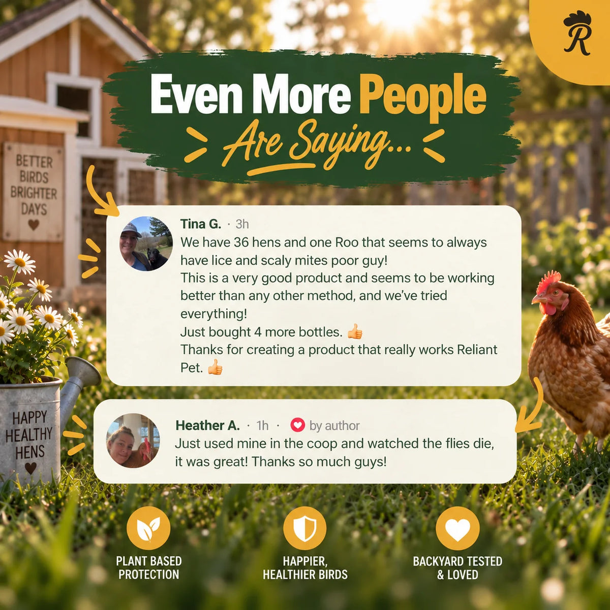 Chicken Coop & Poultry Spray
