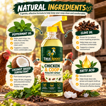 Chicken Coop & Poultry Spray